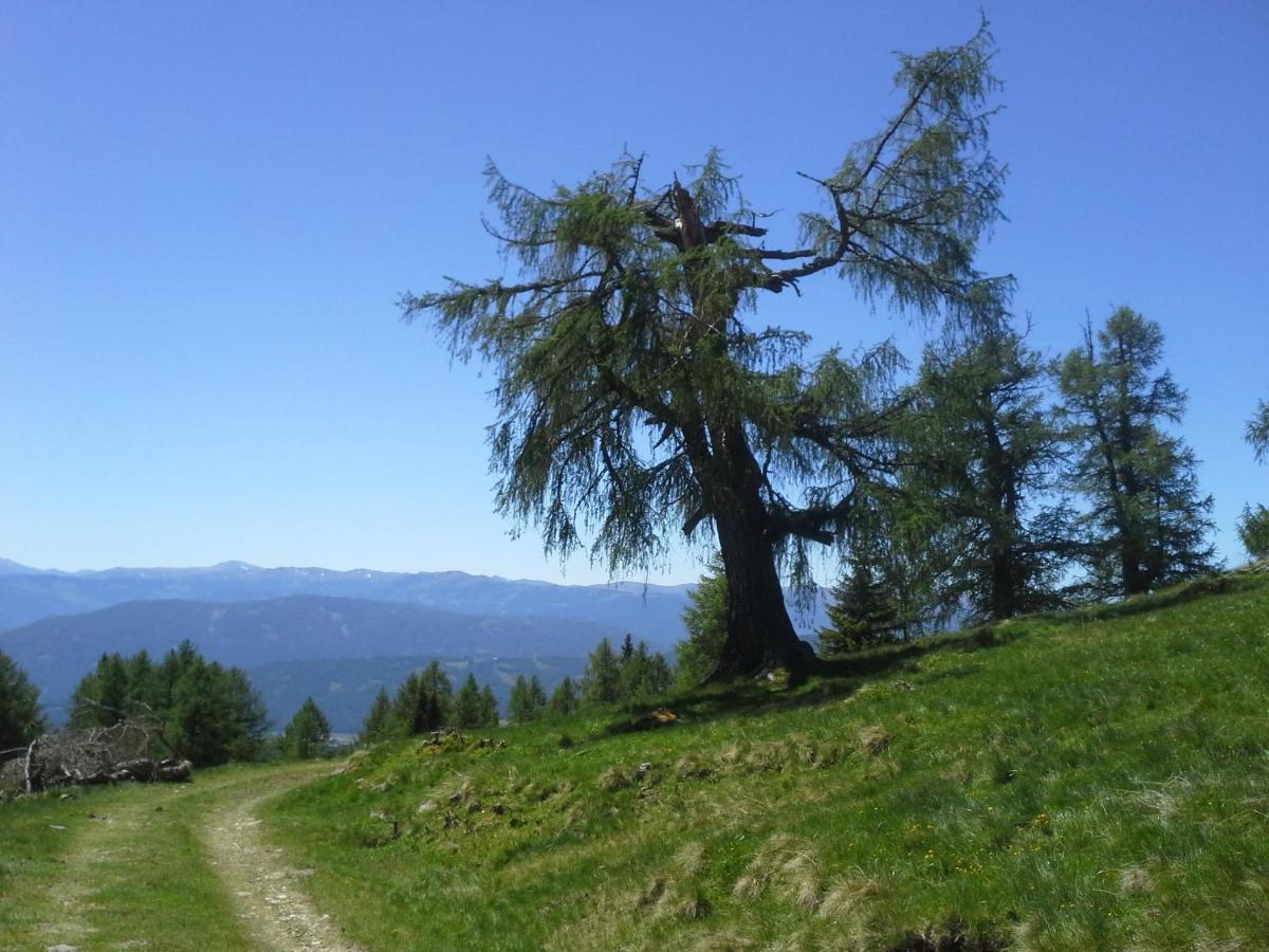 Fanningerwirt Holzer Appartement Mariapfarr Buitenkant foto